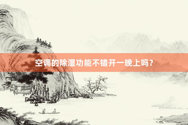 空调的除湿功能不错开一晚上吗？