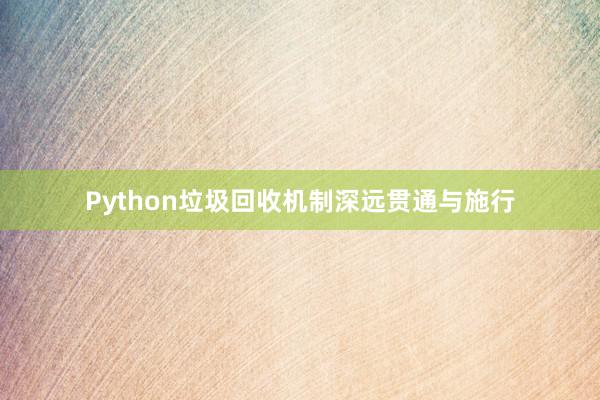Python垃圾回收机制深远贯通与施行