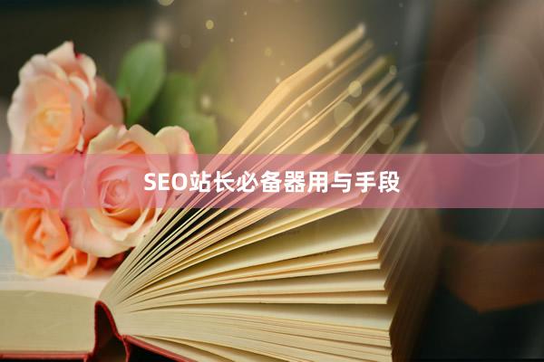 SEO站长必备器用与手段