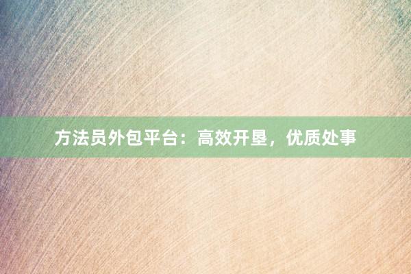 方法员外包平台：高效开垦，优质处事