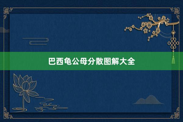 巴西龟公母分散图解大全